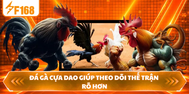 Đá gà cựa dao giúp theo dõi thế trận rõ hơn